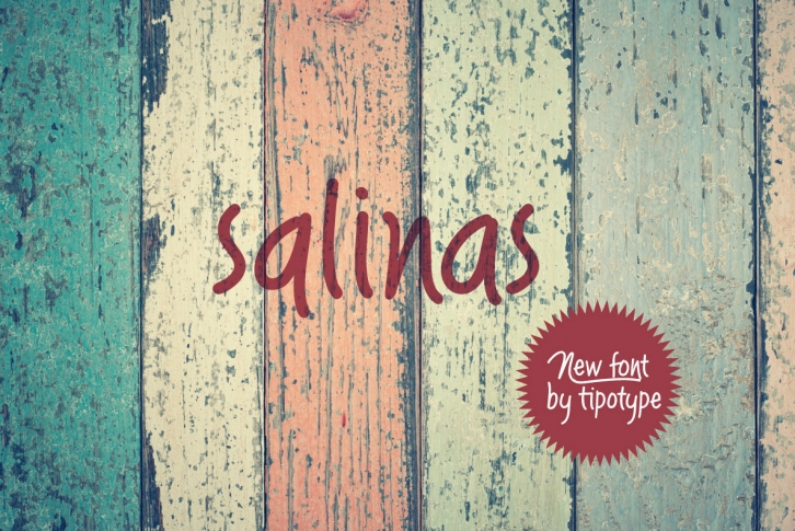 Salinas Font Download