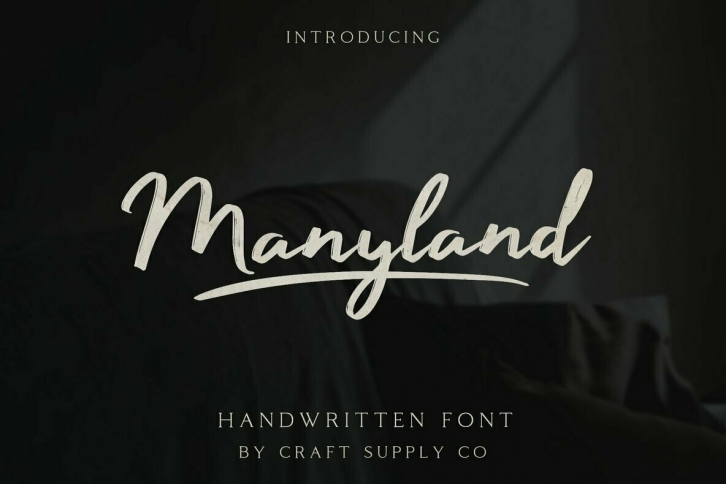 Manyland Font Download