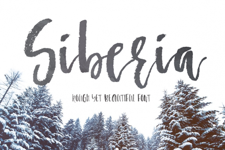 Siberia Font Download