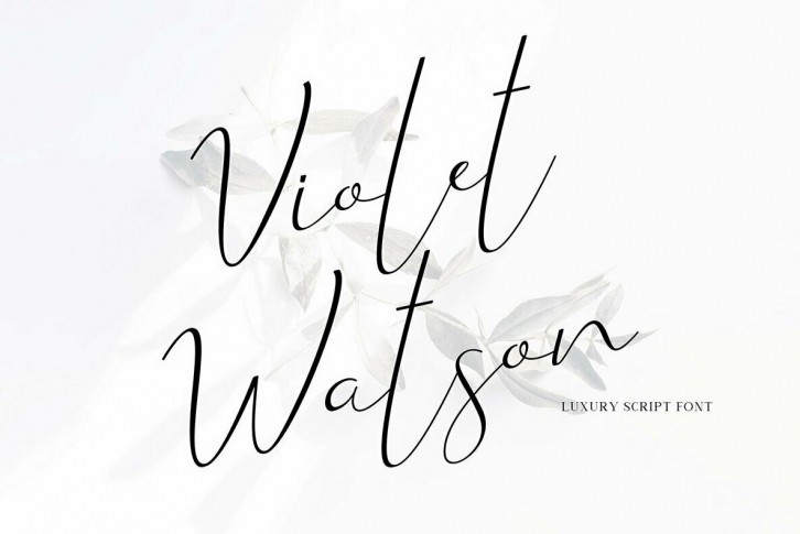 Violet Watson Font Download