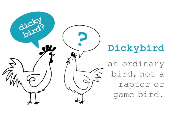 Dickybird Doodles Font Download