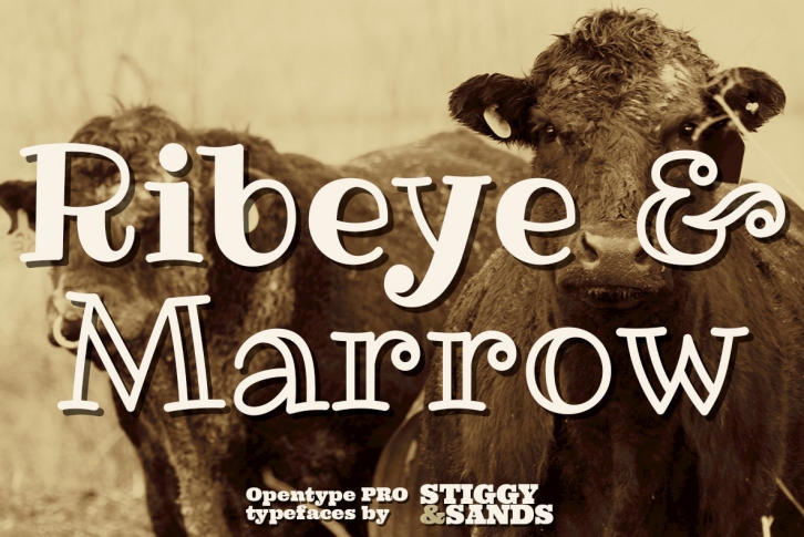 Ribeye Pro Family Font Download