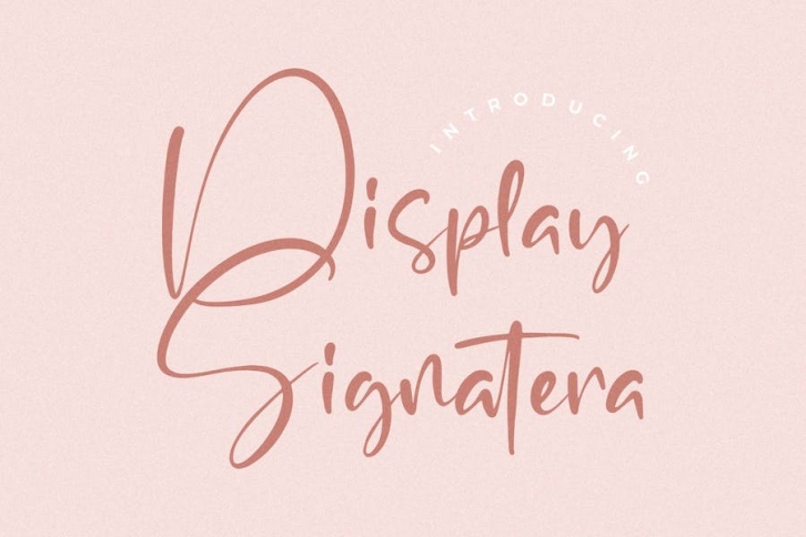 Display Signatera Font Download