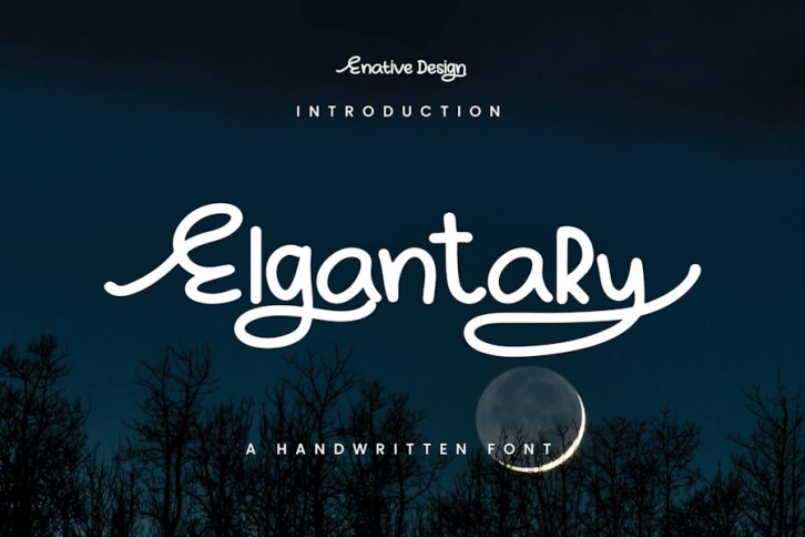 Elgantary Handwritten Display Font Font Download