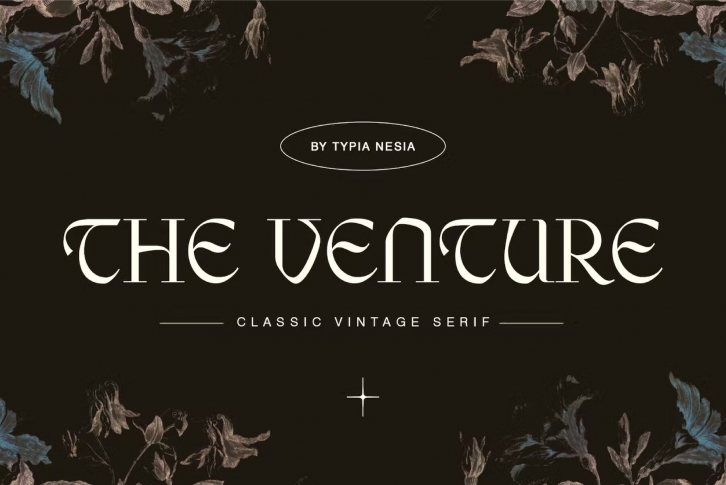 The Venture Font Download