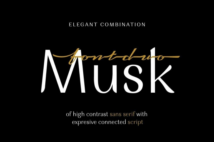 Musk Font Download