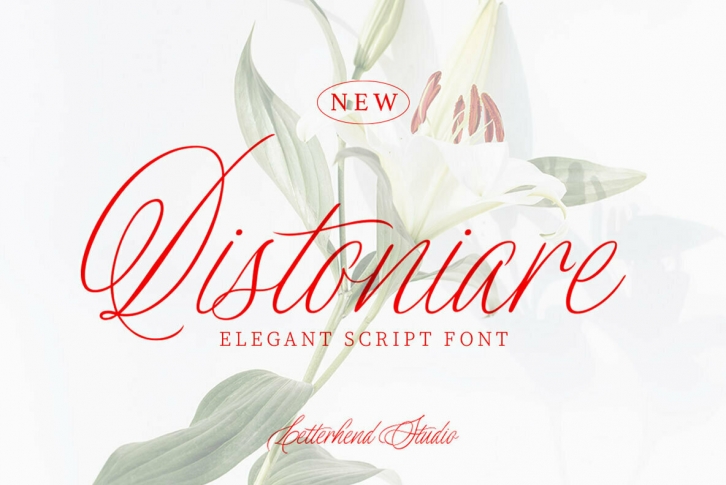 Distoniare Font Download