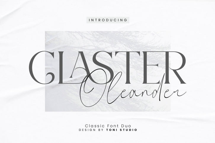 Claster Oleander Font Download