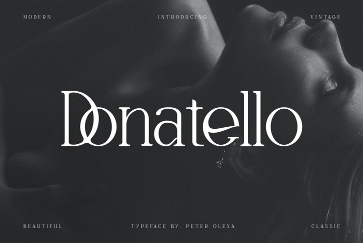 Donatello Modern Serif Font Download