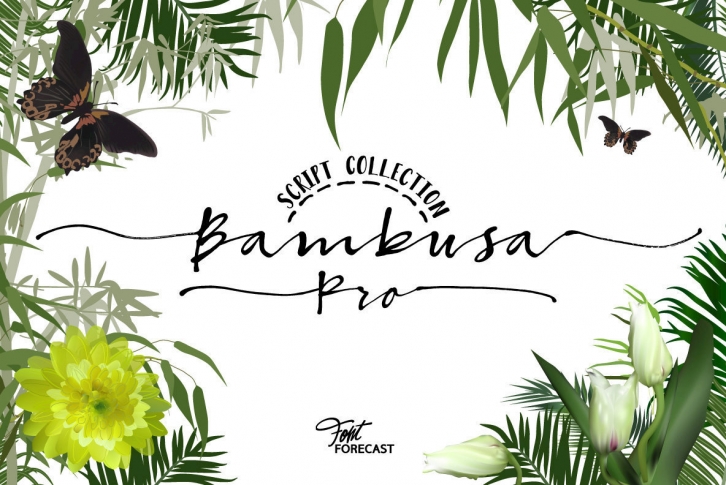 Bambusa Pro Font Font Download