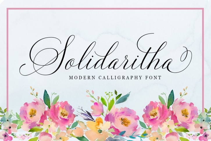 Solidaritha Script Font Font Download