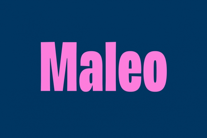 Maleo Font Font Download