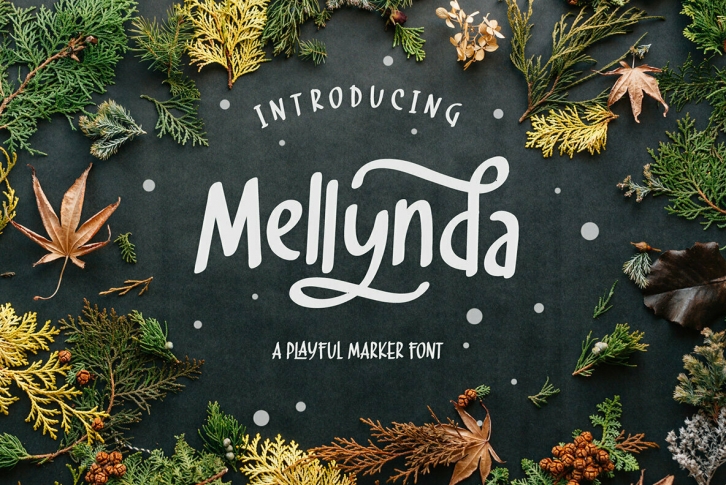 Mellynda Font Font Download