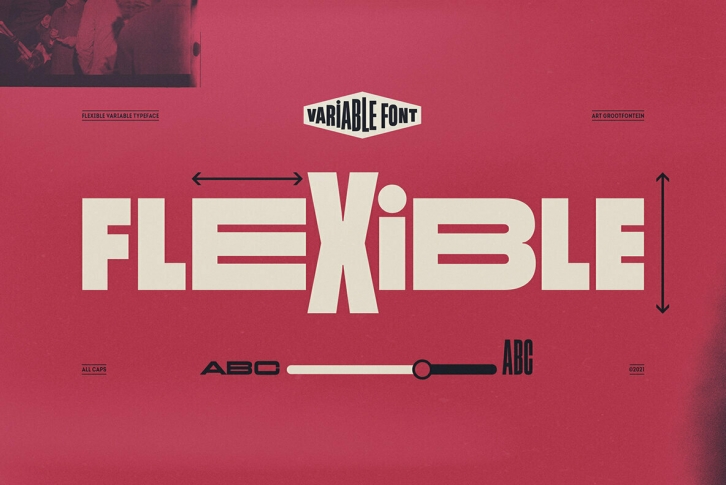 Flexible Font Font Download