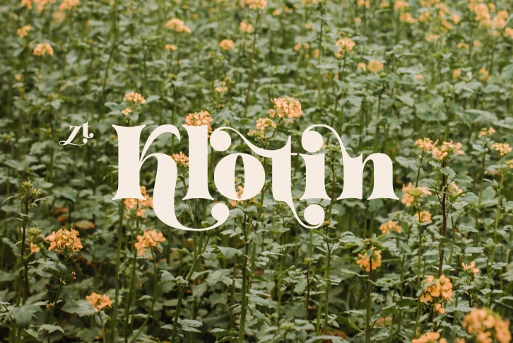 ZT Klotin Font Font Download