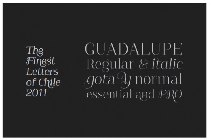 Guadalupe Font Font Download