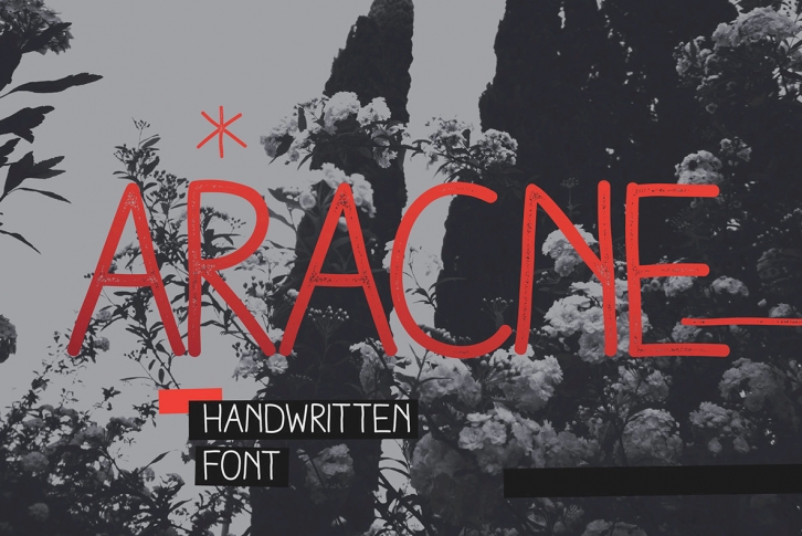 Aracne Font Font Download