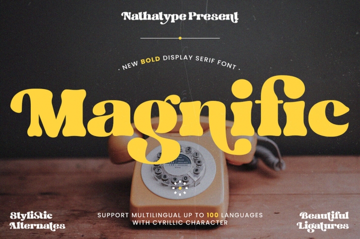 Magnific Font Font Download