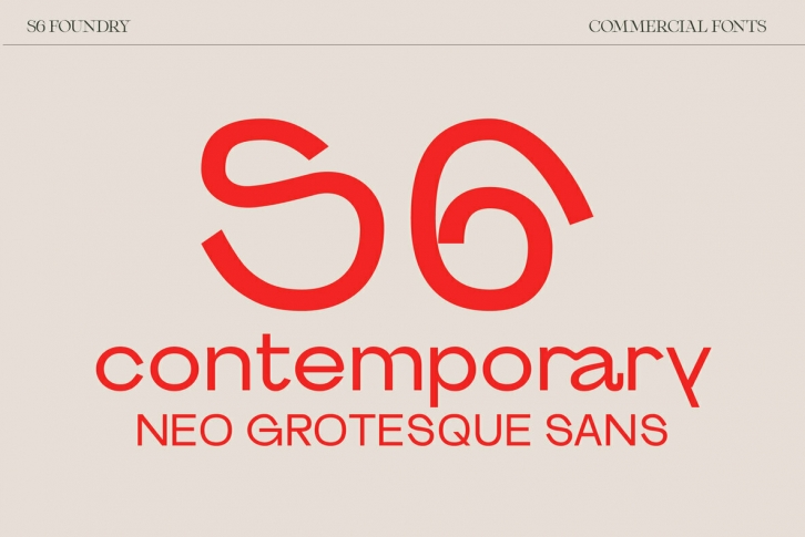 S6 Sans Font Font Download