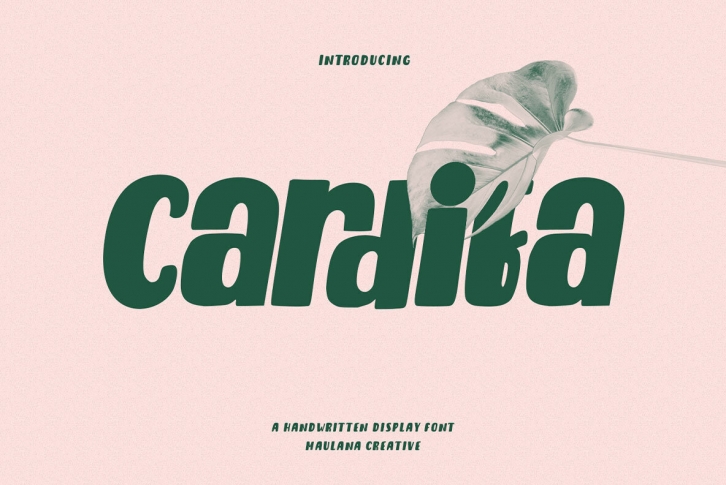 Cardifa Font Font Download