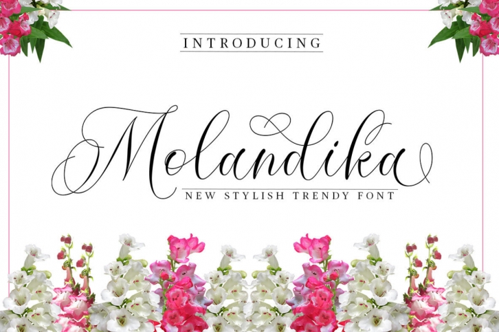 Molandika Script Font Font Download