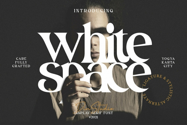 White Space Font Font Download