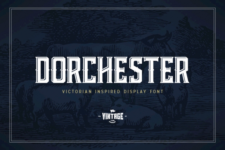Dorchester Display Font Font Download