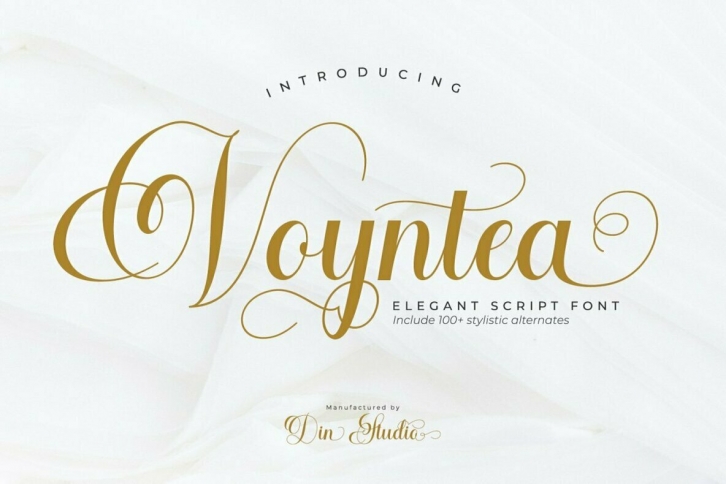 Voyntea Font Font Download