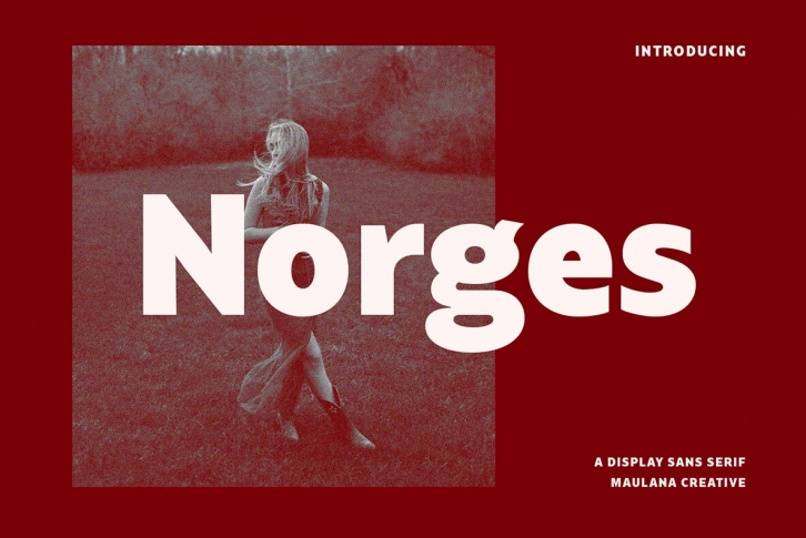 Norges Font Font Download