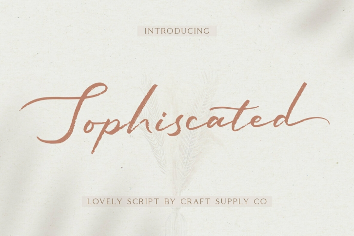 Sophiscated Font Font Download