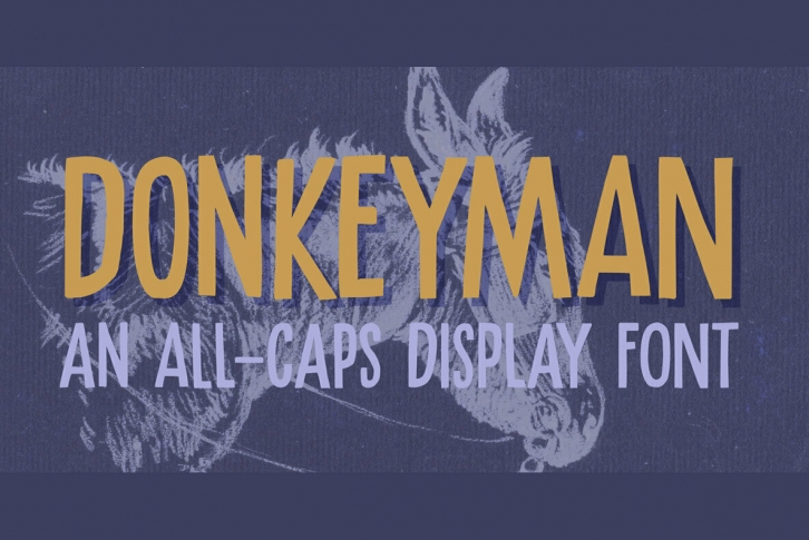 Donkeyman Font Font Download