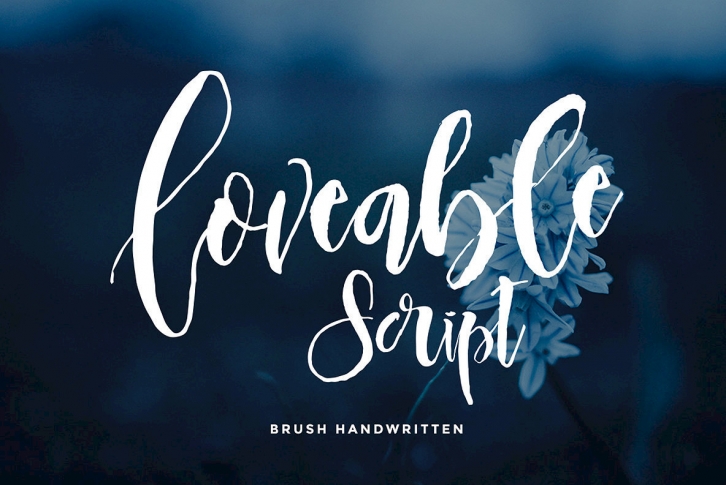 Loveable Scripts Font Font Download