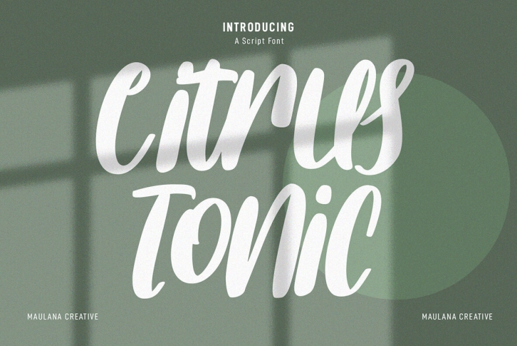 Citrus Tonic Font Font Download