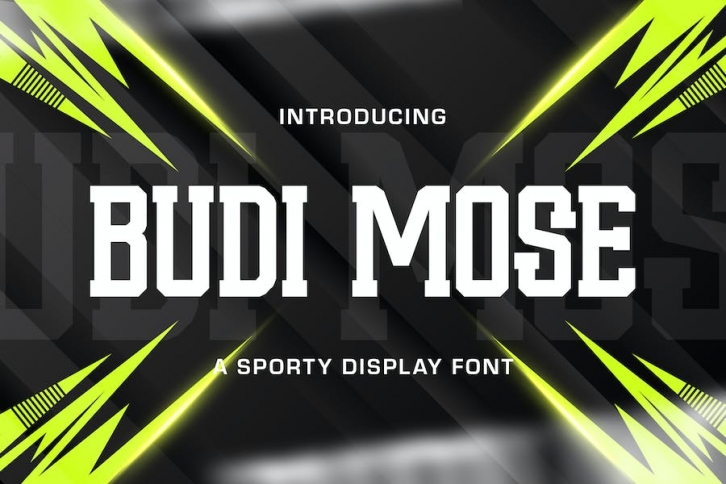 Budi Mose - Sporty Display Font Font Download