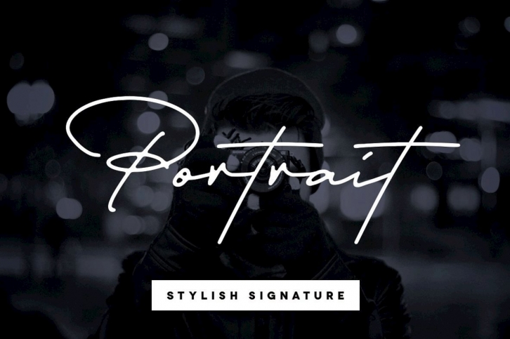 Portrait Script Font Font Download