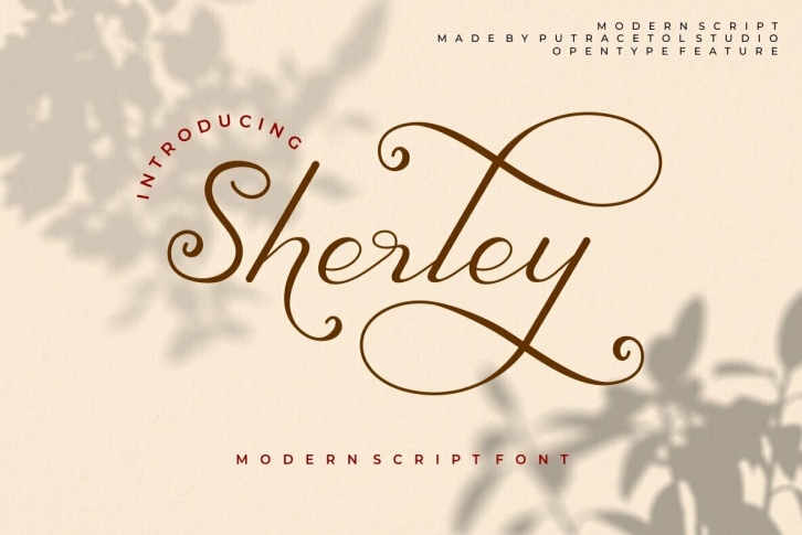 Sherley Font Font Download