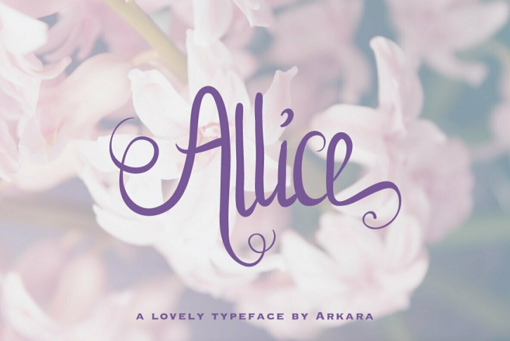 Allice Font Font Download