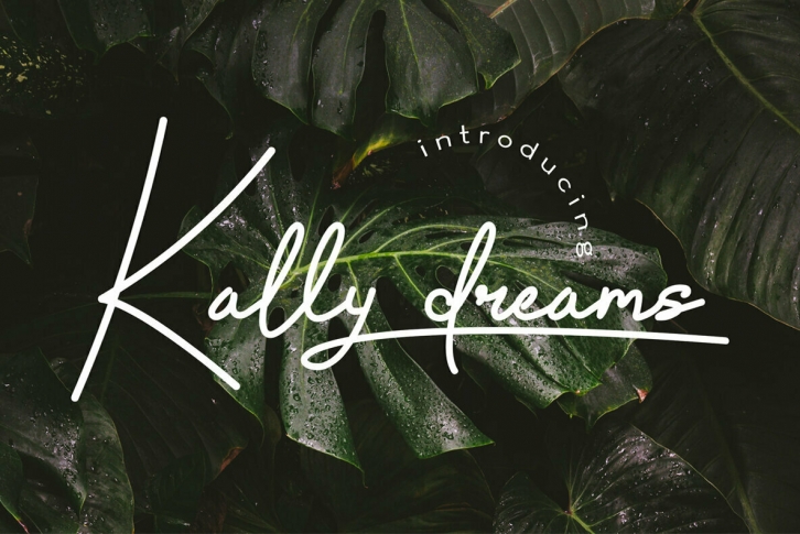 Kally dreams Font Font Download