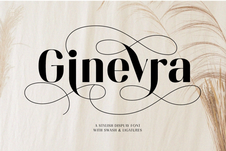 Ginevra Font Font Download