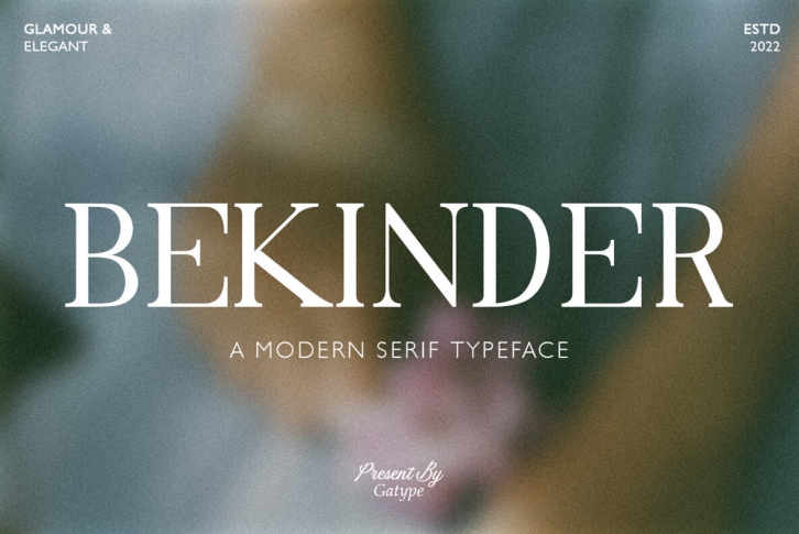 Bekinder Font Font Download