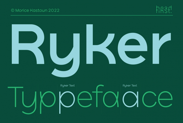 Ryker Font Font Download