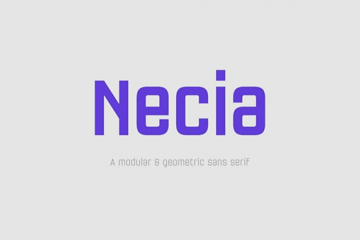 Necia Font Font Download