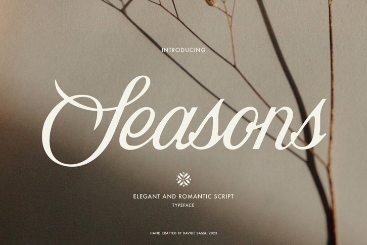 Seasons Script Font Font Download