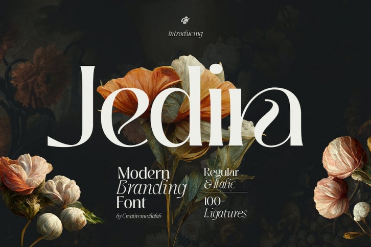 Jedira - Modern Branding Logo font Font Download