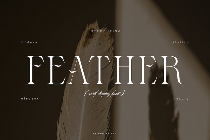 Feather | Display Serif Font Download