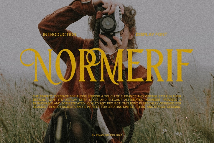 Normerif Font Font Download