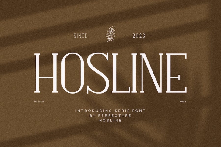 Hosline Modern Serif Font Typeface Font Download