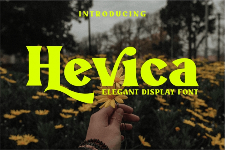 Hevica Font Download