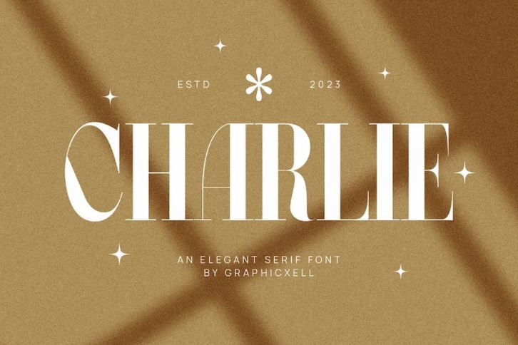 Charlie Elegant Serif Font Typeface Font Download