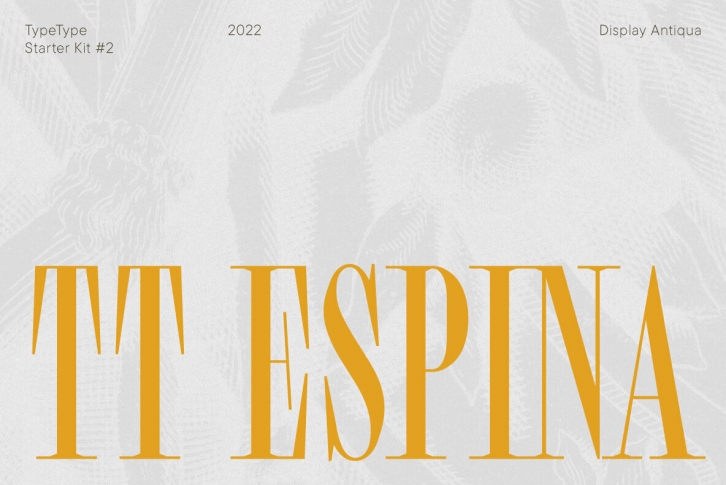 TT Espina Font Font Download